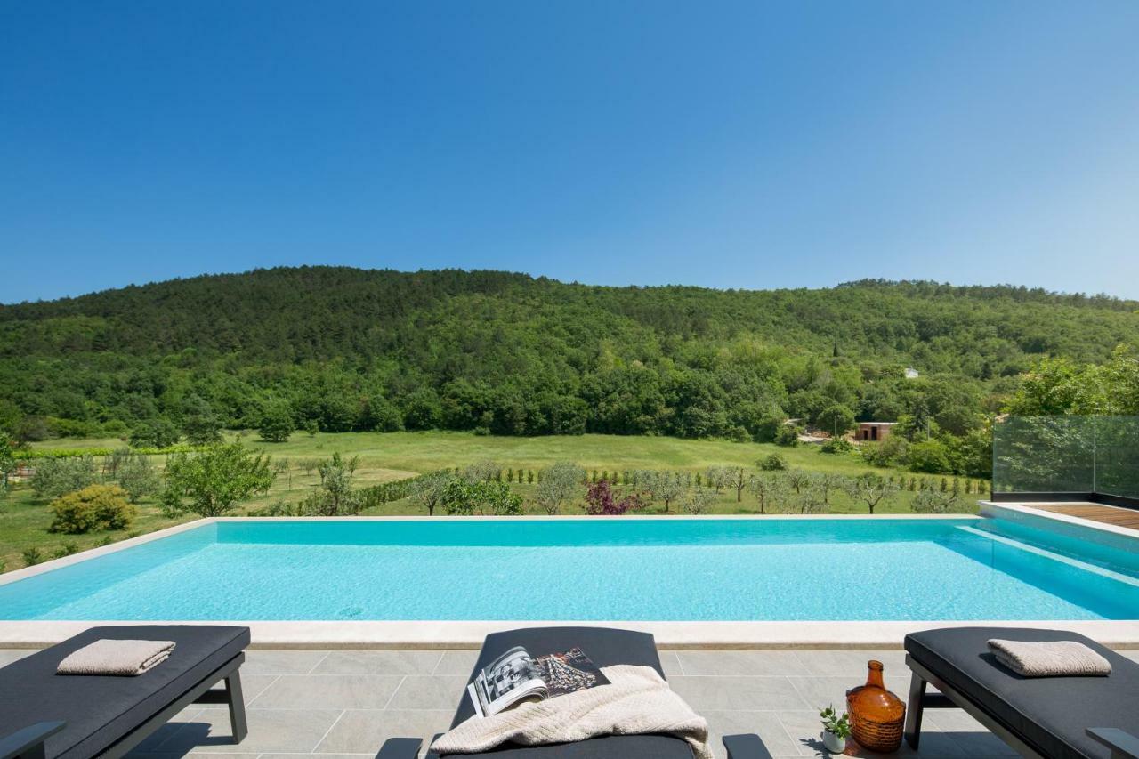 Villa Terra Labin  Exterior foto